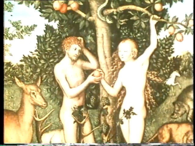 Thumbnail for Strangers in Paradise