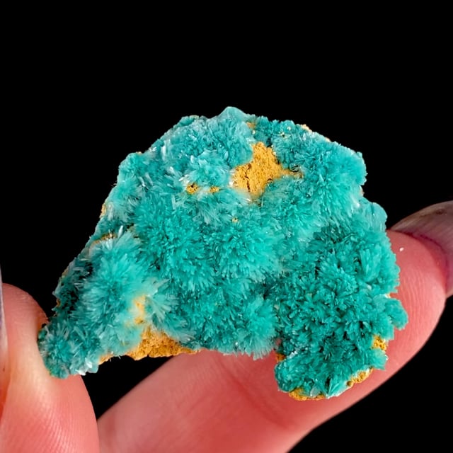 Aurichalcite (rare locality specimen) (Mined: 1970)