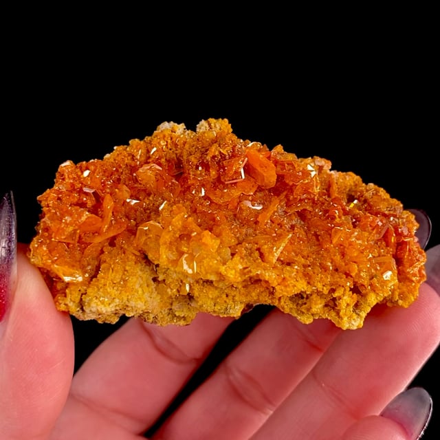 Wulfenite with Mimetite (classic locality)