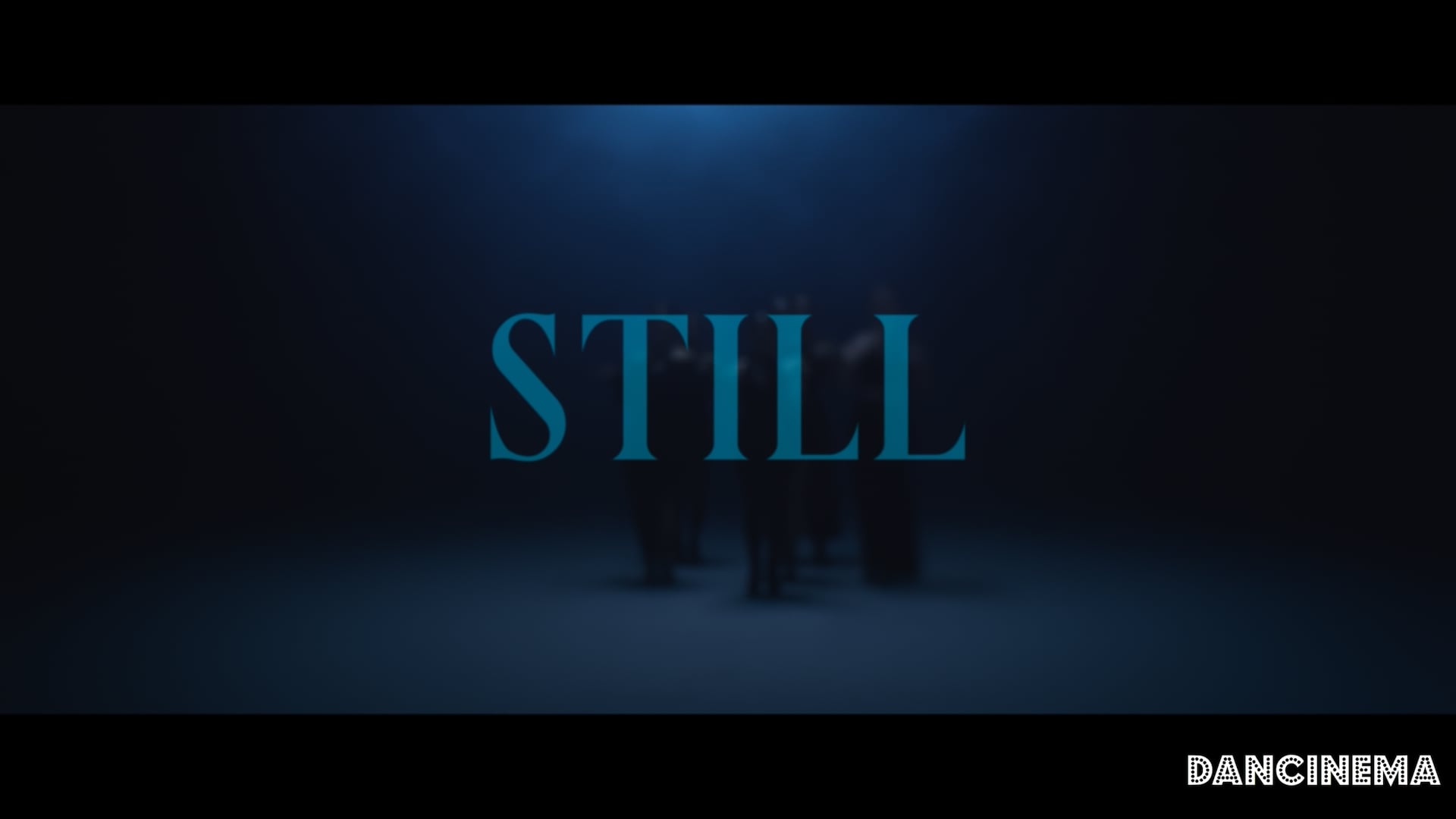 Dancinema 2024: Still