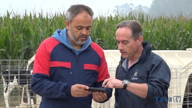 Experiencia con Gando en Finca Raposo