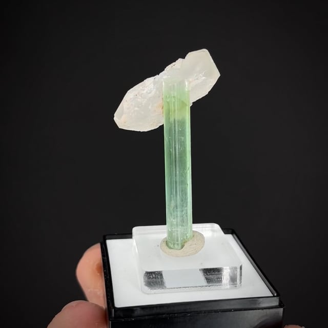 Tourmaline and Quartz