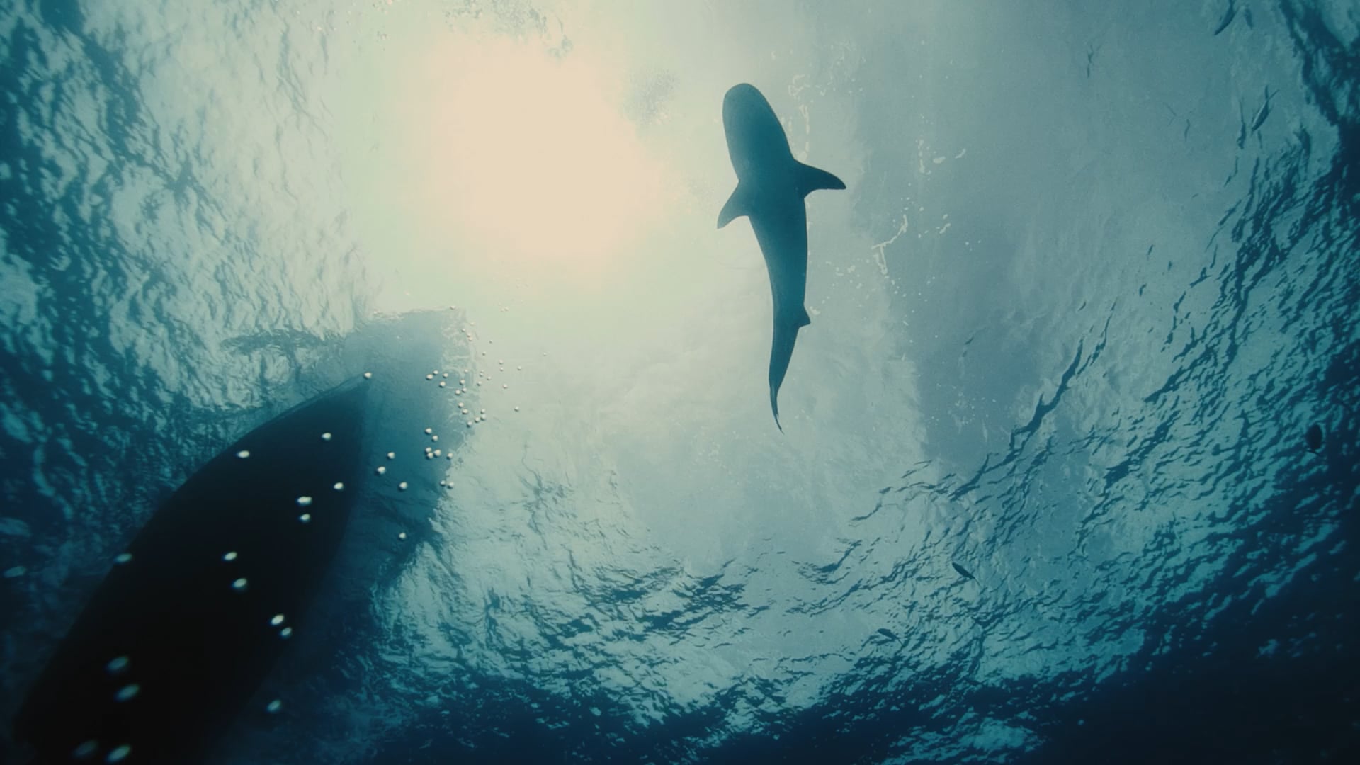 modibodi Anti-Leak Period Swimwear | Branded Content