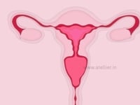 3D Product Animation ex plainer video_ MENSTRUAL cup 3D Video_ Atellier Studio