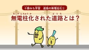 【十勝】無電柱化① 「無電柱化された道路とは？」