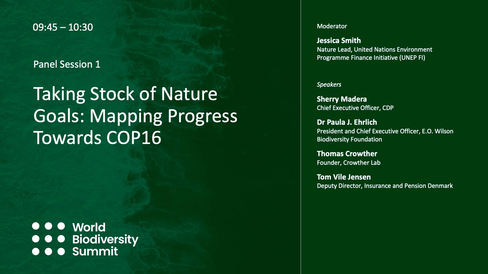 Taking Stock of Nature Goals — Mapping Progress Towards COP16