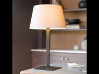 Beaumont Table (1480002) in Bronze - Video Thumbnail 1