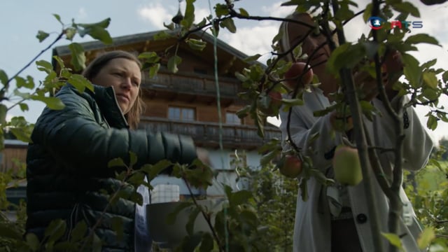 von-ochsen-und-obst-der-schmiedlehengut-in-radstadt