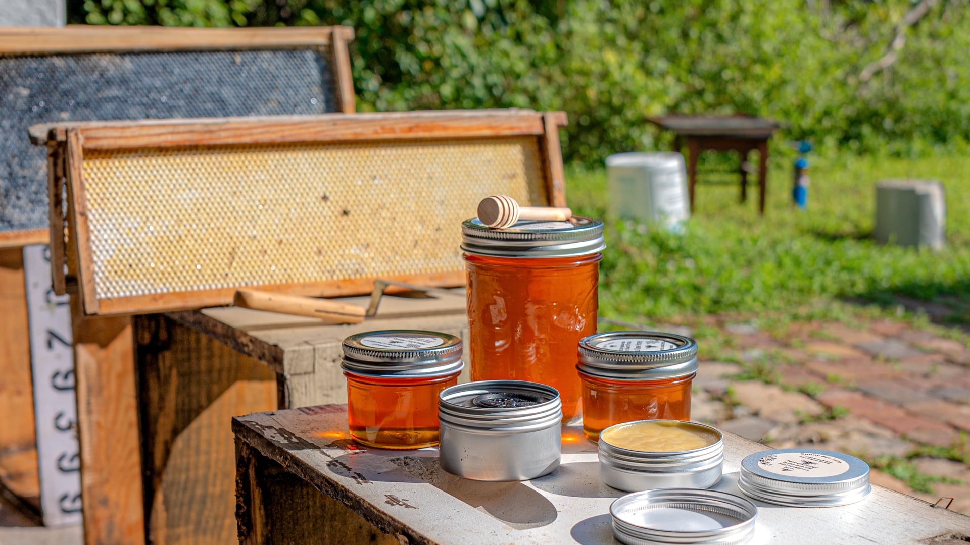 Sunny Bee Farms - Restoration and Recovery - Hurricane Helene