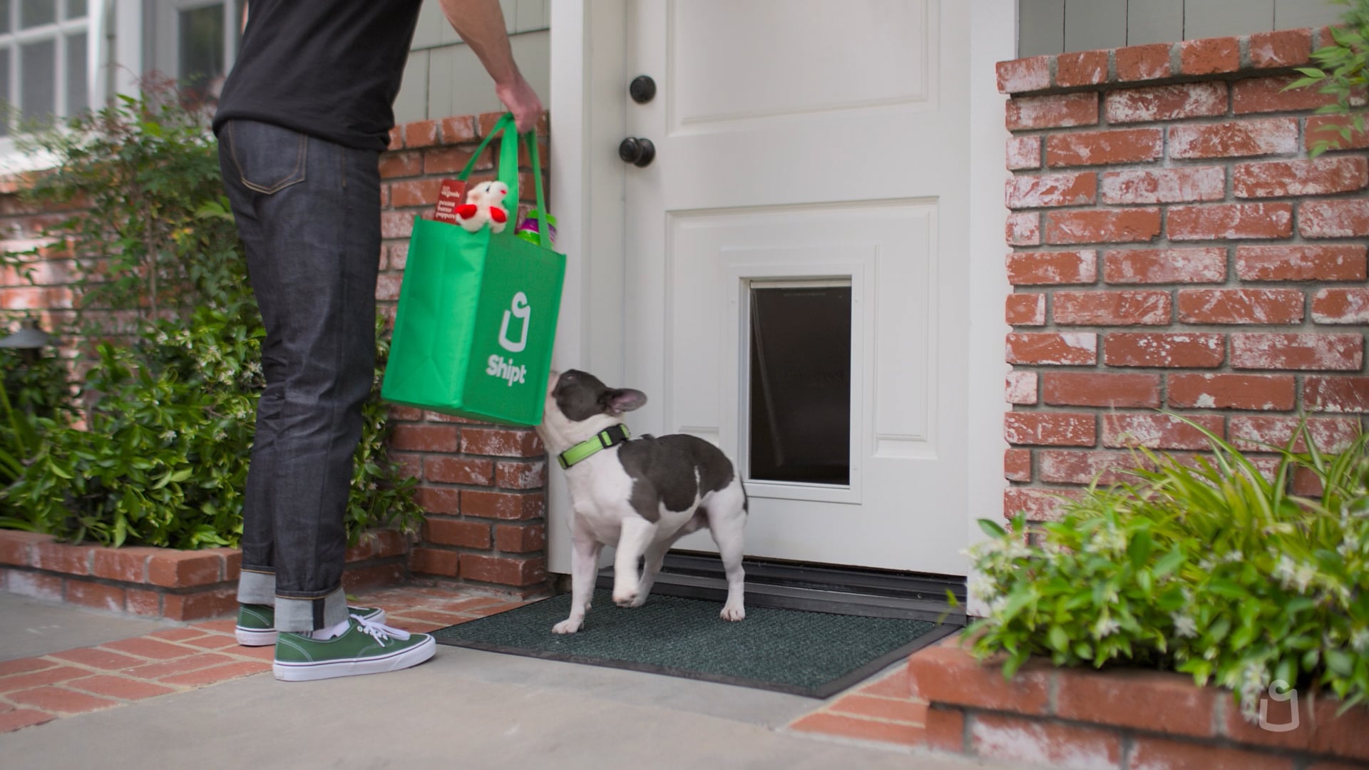 SHIPT "Dog" 15s | Lawrence Lamont