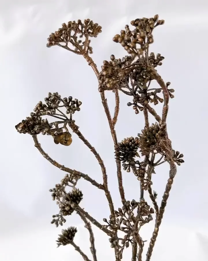 華観音 ピオニーとローズのフラワーアレンジメント｜横浜ディスプレイ