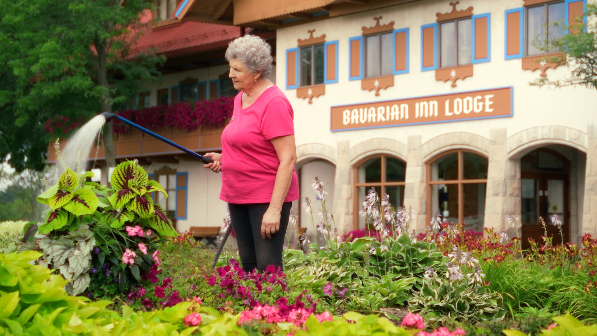 bavarian inn - 'mary' teaser