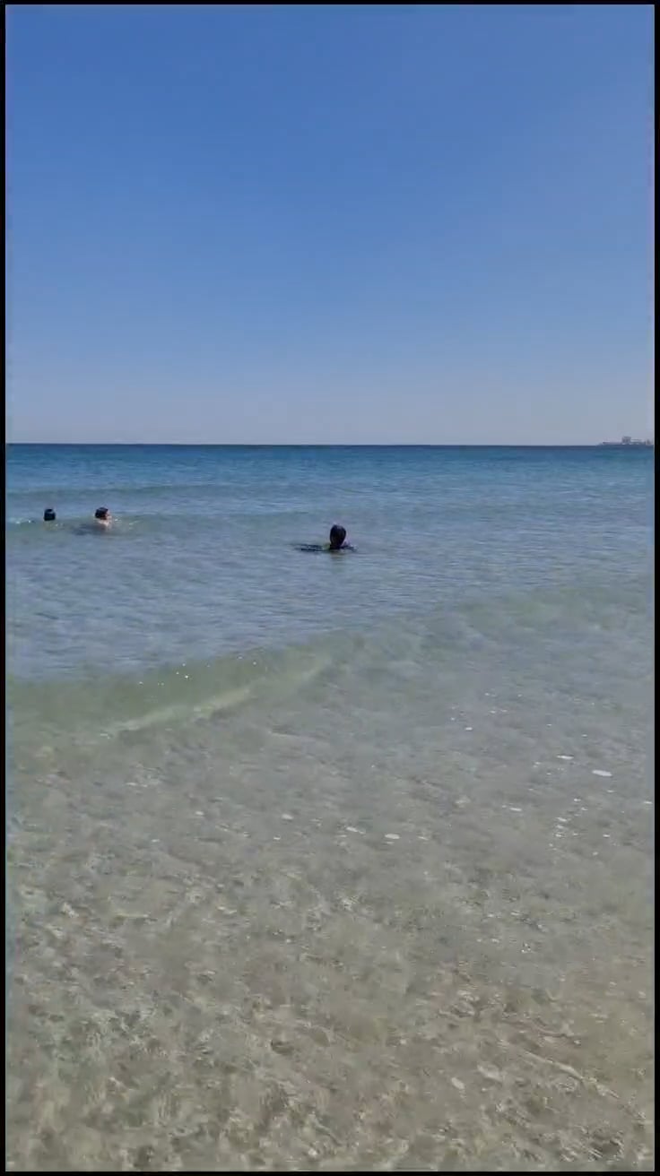 https://i.vimeocdn.com/video/1934211974-e6b82d9db47a436bdd4469be60c54c682f958a1a20855d384be0d5241141efe6-d