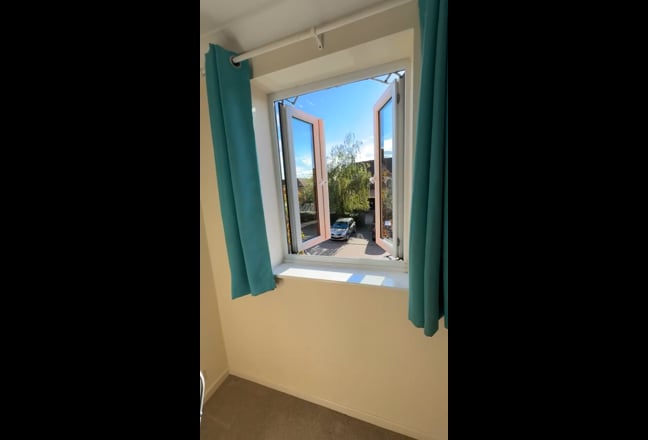 Beautiful double Room available  Main Photo