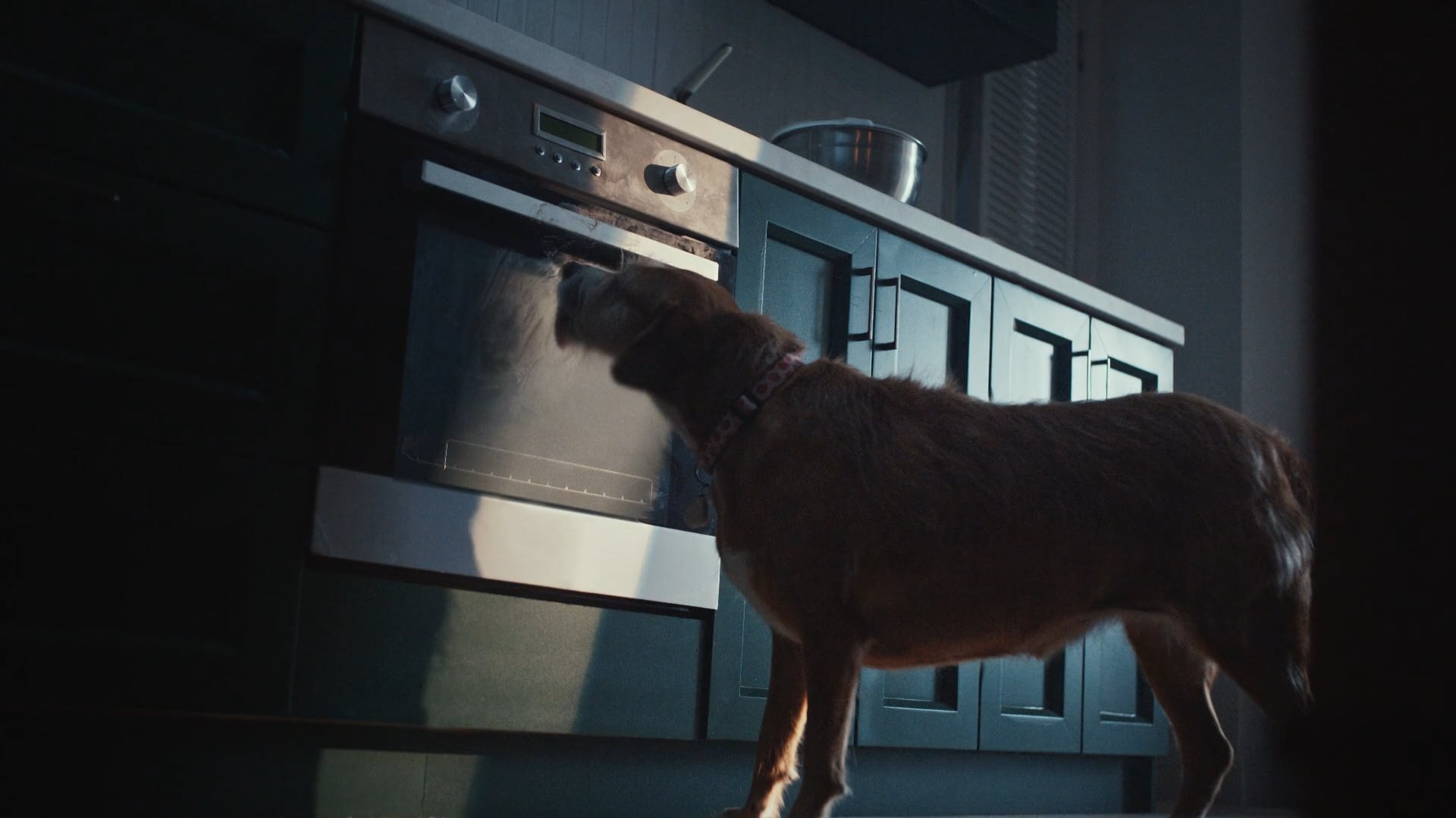 Cuisinart 'New Flame' directed by Rami Hachache and produced for Prettybird US