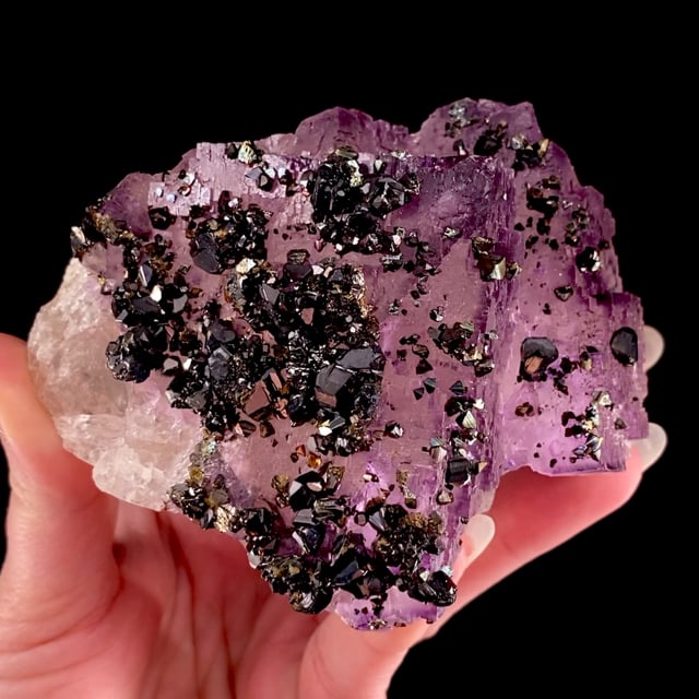 Sphalerite on Fluorite (rare locality specimen)