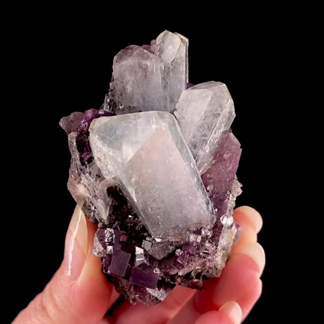 Celestine on Fluorite (excellent locality specimen)