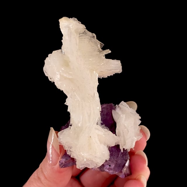 Baryte on Fluorite