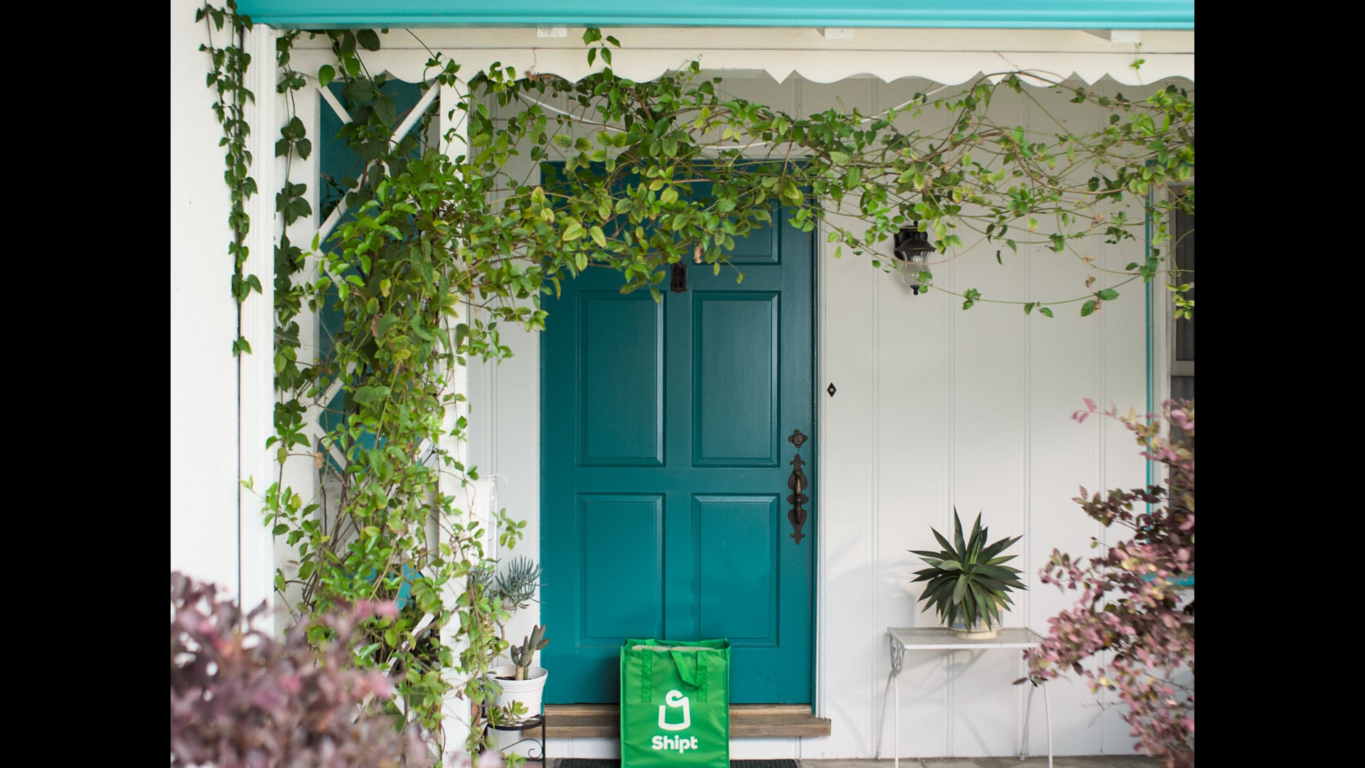 SHIPT "Fort/Mermaid/Pool" | Lawrence Lamont