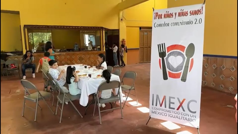 Instituto Mexicano Contra La Corrupcion Y Asistencia A Grupos Vulnerables, Iap logo