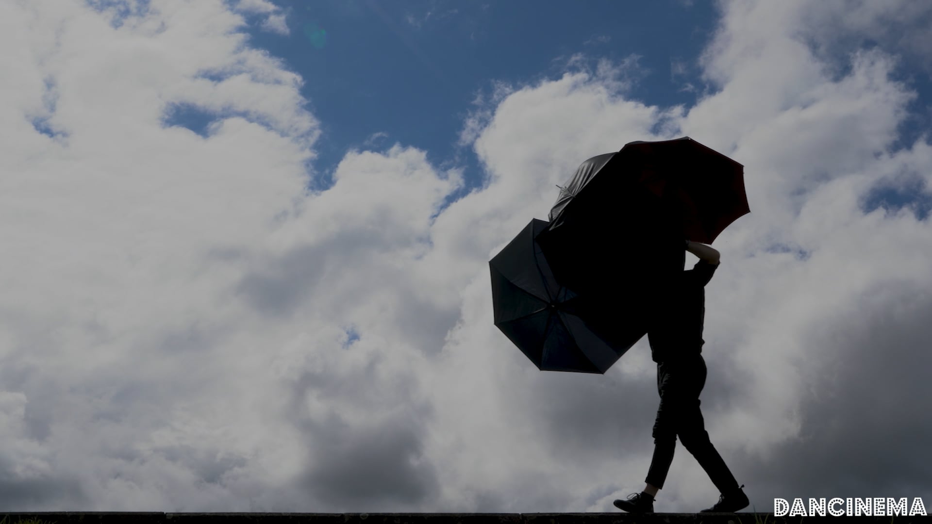 Dancinema 2024: Water & Man