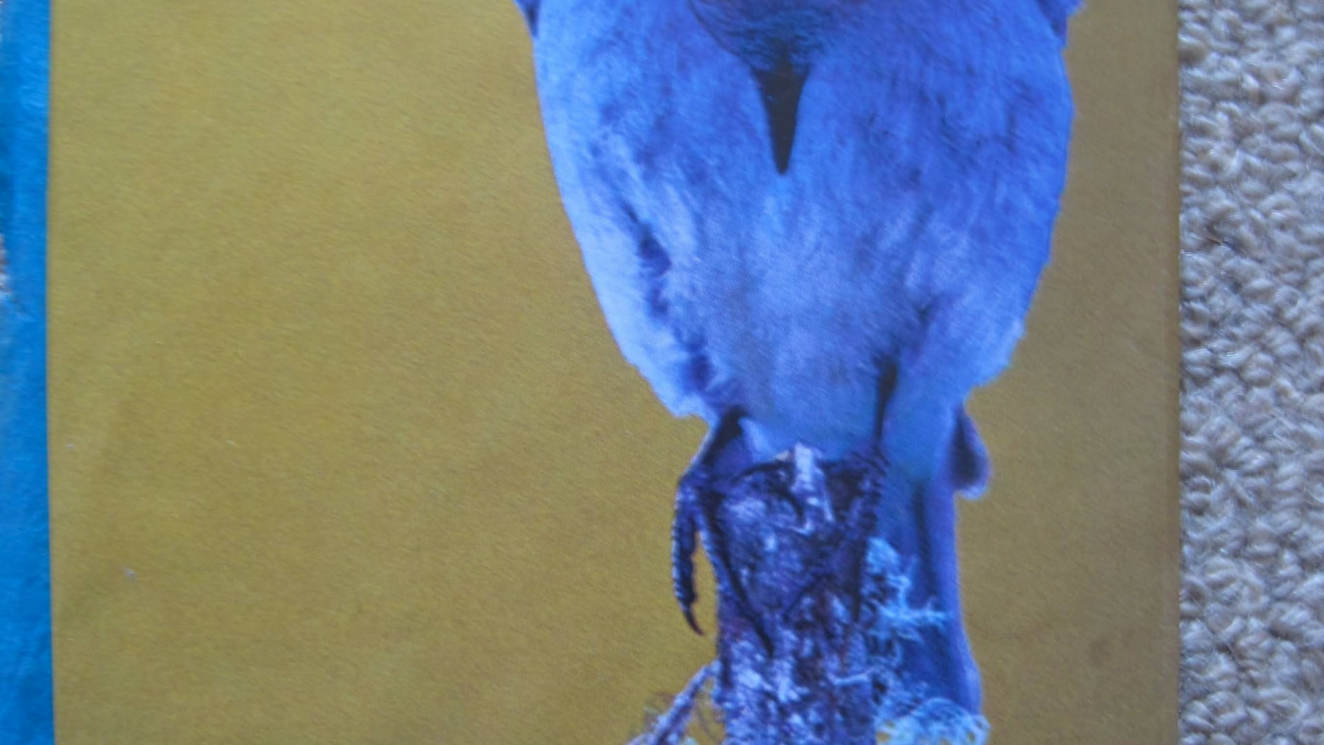 2024 September 4: The Seven Factors of Awakening