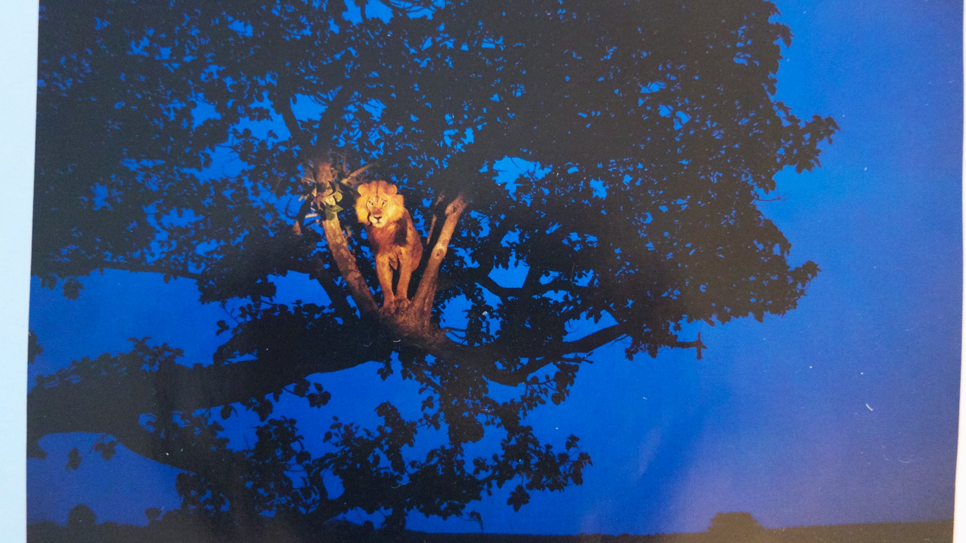 2024 September 2: Introducing the Seven Factors of Awakening