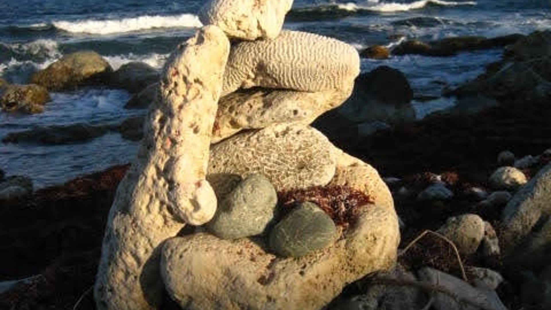 2024 September 16: Mindfulness: The Buddha’s Contribution to the Contemplative World