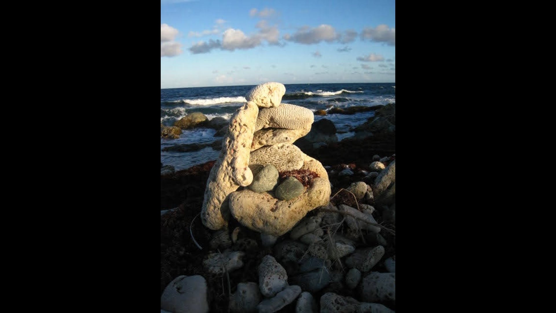 2024 September 16: Mindfulness: The Buddha’s Contribution to the Contemplative World