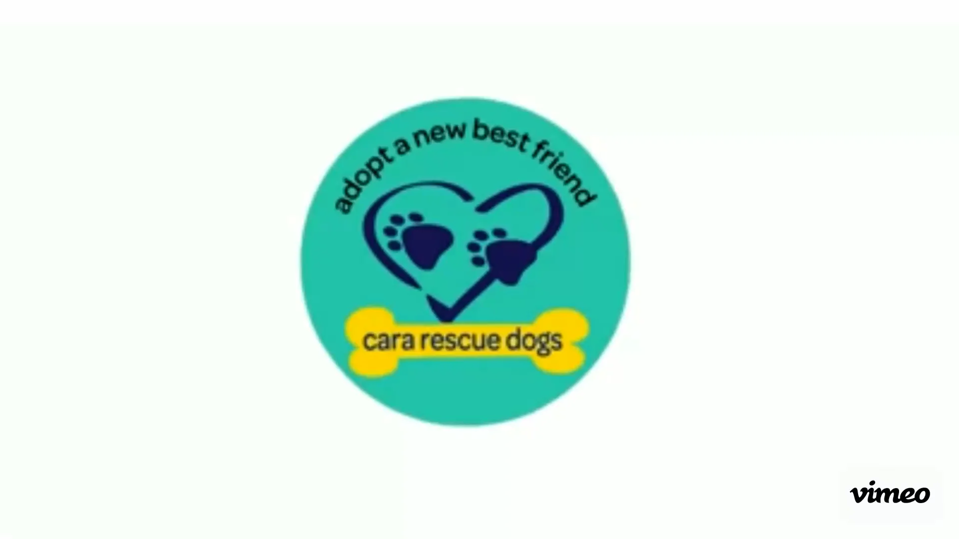 Fostering Cara Rescue Dogs