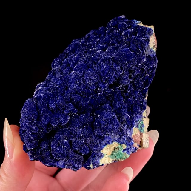 Azurite (''roses'') on matrix