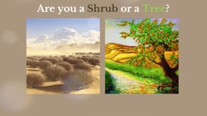 10/6/2024 - Dr Daniel Anderson - "Are You A Shrub or a Tree?" (Jer. 17)