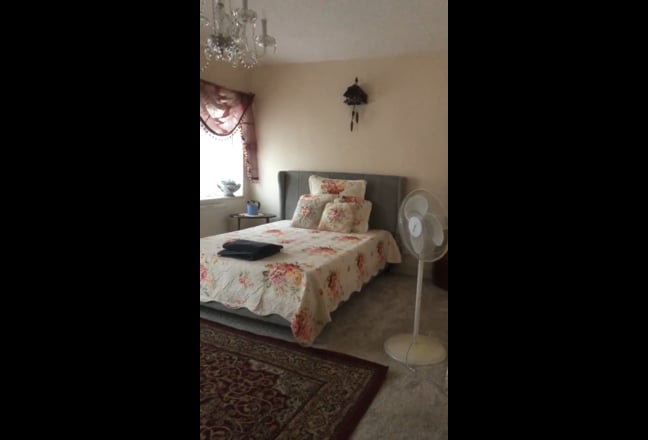 Video 1: