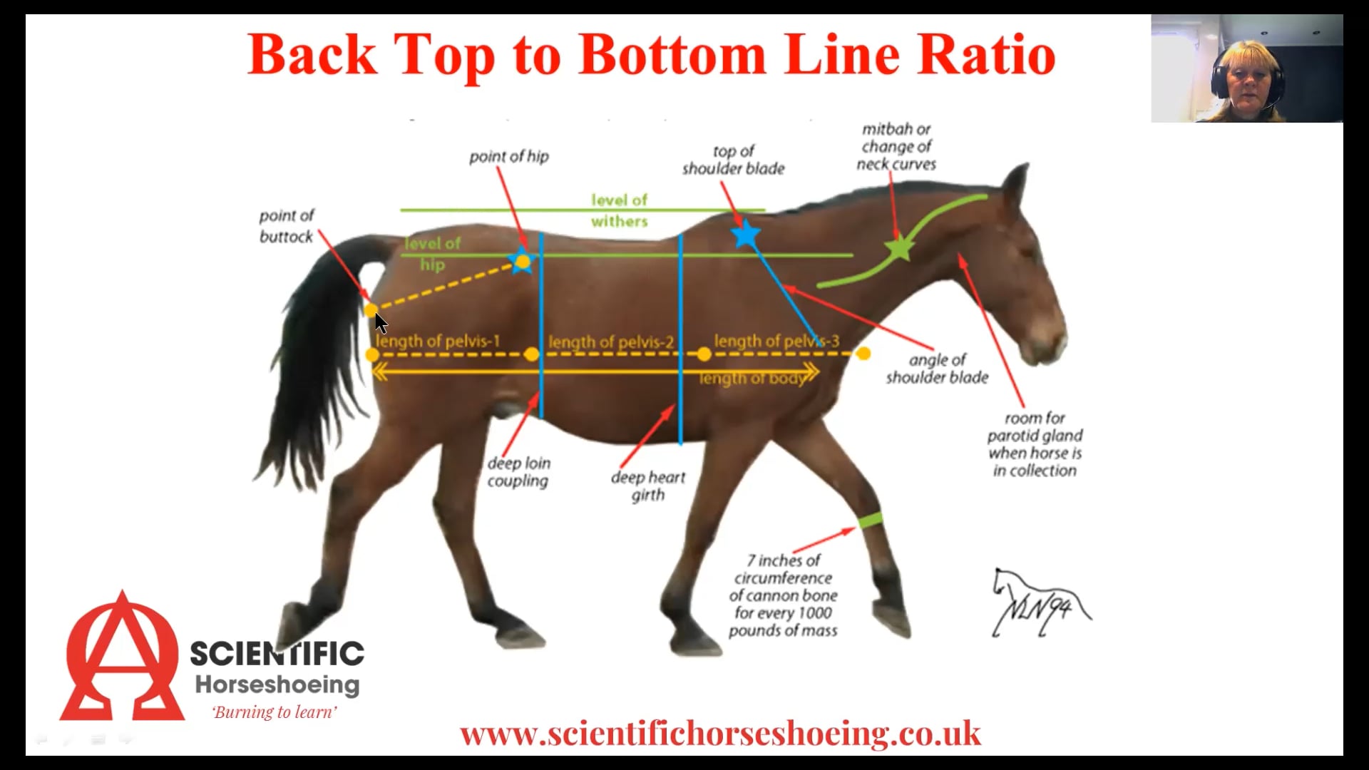 An introduction to general conformation – Debbie Topping