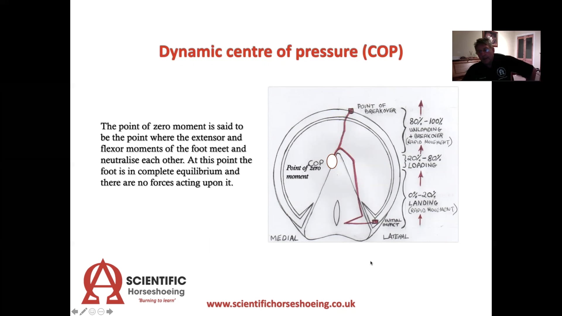 An Introduction to basic Biomechanics of the equine foot and lower limb