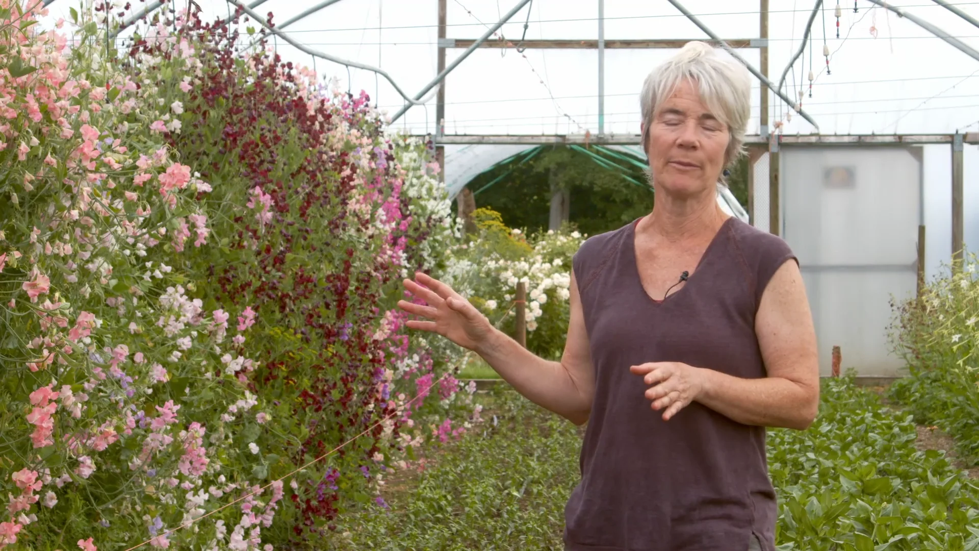 Watch Green and Rachel Siegfried's flower farming year