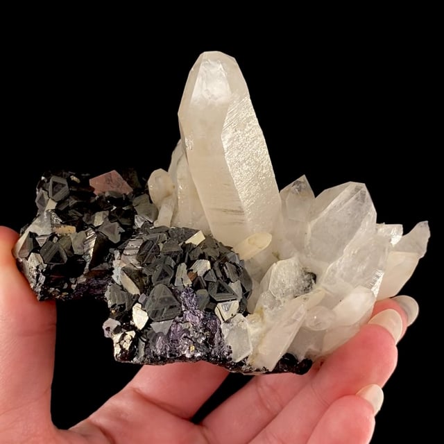 Stannite with Arsenopyrite and Quartz