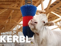 https://www.kerbl.com/de/product/kratzbuerste-happycow-flexiswing/955397/949045  HAPPYCOW FlexiSwing ist die einfache und preisbewusste L&amp;ouml;sung, um das Wohlbefinden&amp;hellip;
