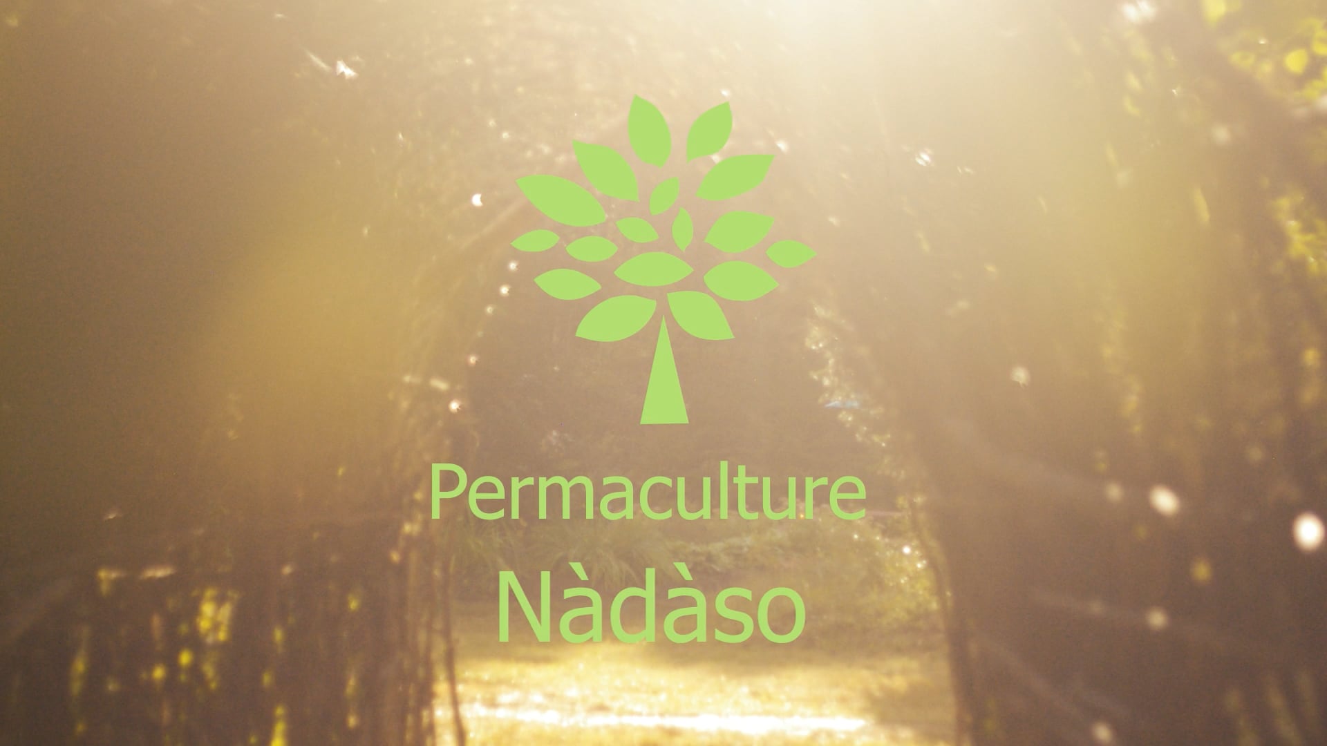 Permaculture Nàdàso, Festival Des Récoltes 2024