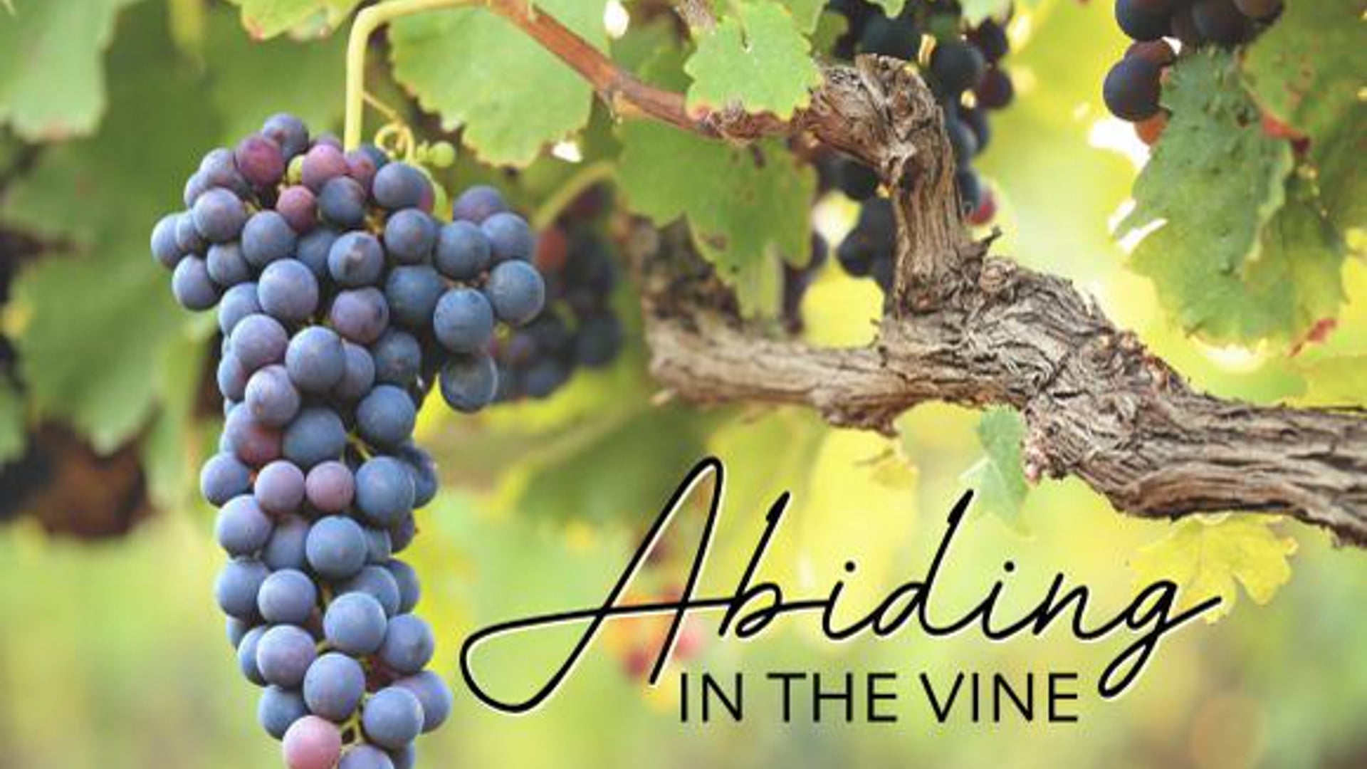 10.06.24 - Corruption