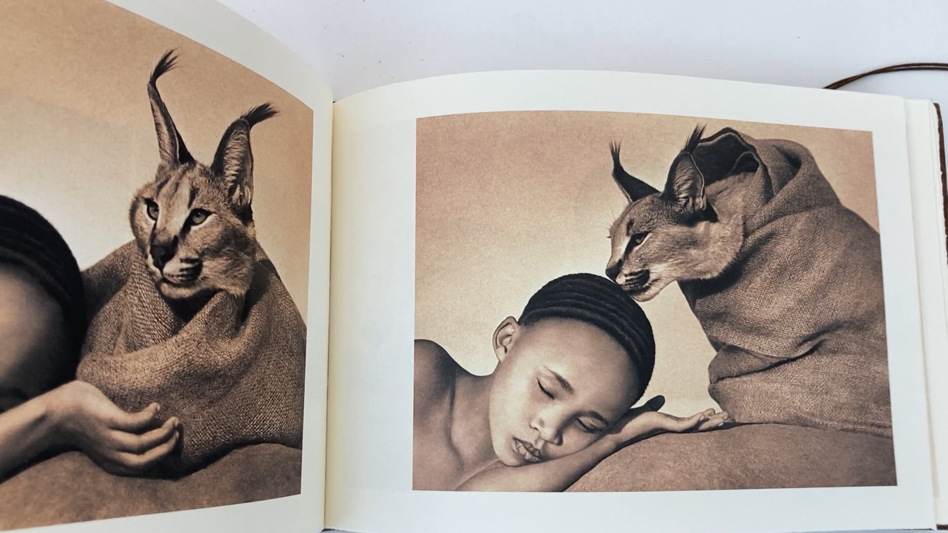 Gregory Colbert Photograph Ashes and Snow Selected Works Santa