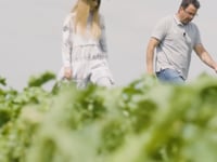 Related Embedded Video Item Thumbnail