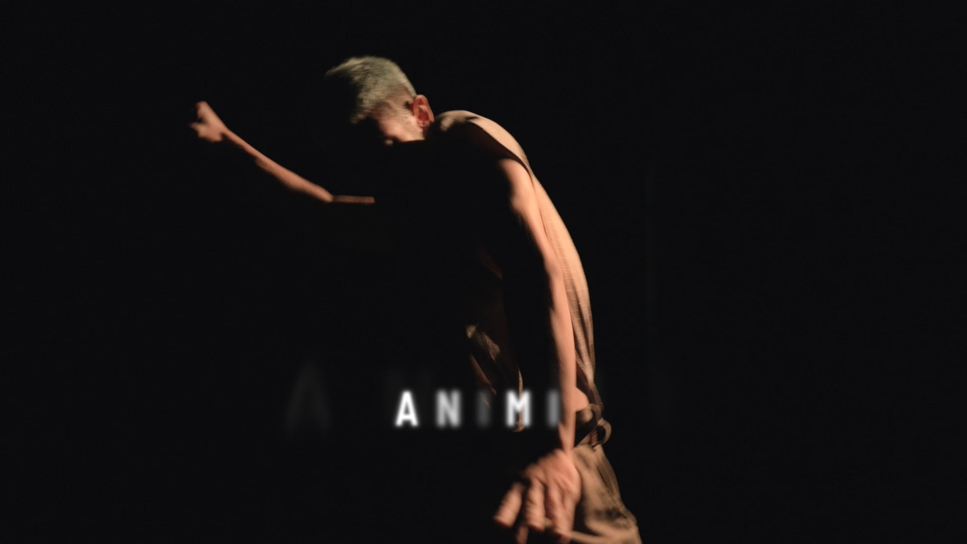 trailer ANIMI