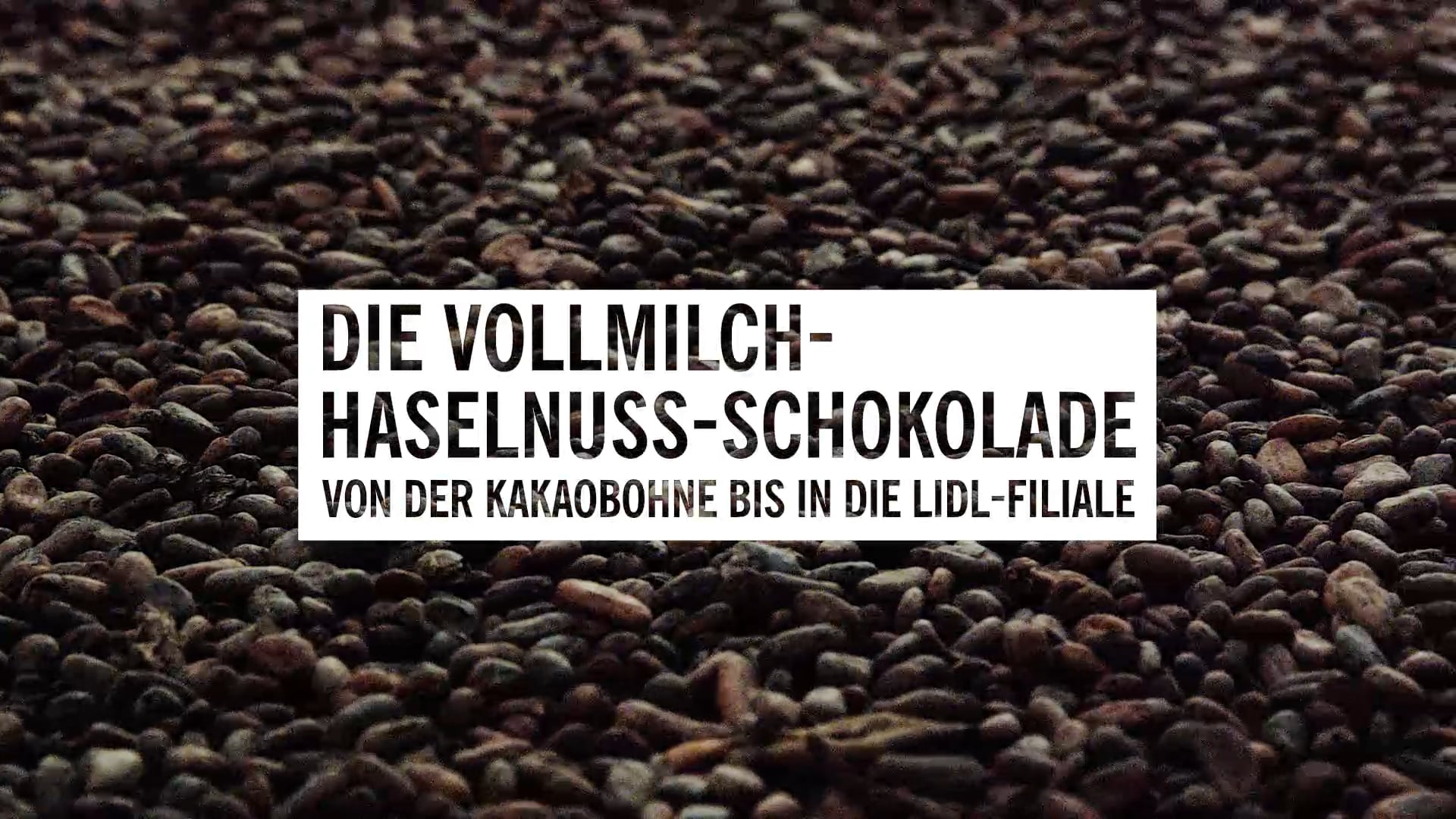 Die Vollmilch-Haselnuss-Schokolade: Von der Kakaobohne in die Lidl-Filiale