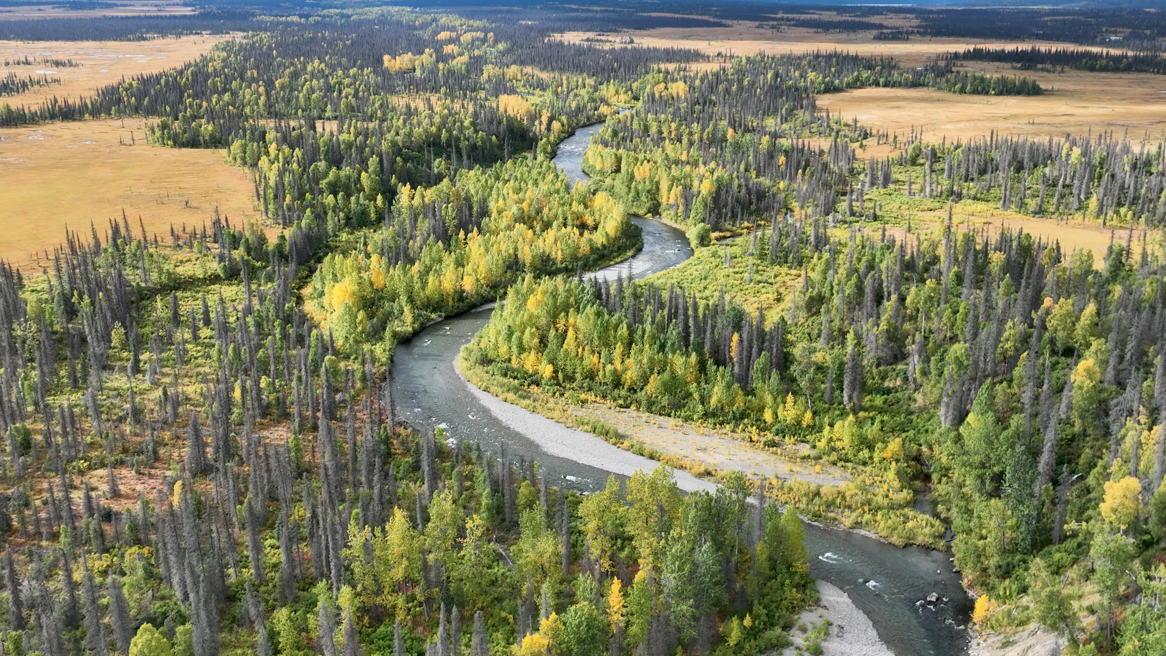 Denali National Park Trips | Alaska - Chelatna Lake Lodge Alaska