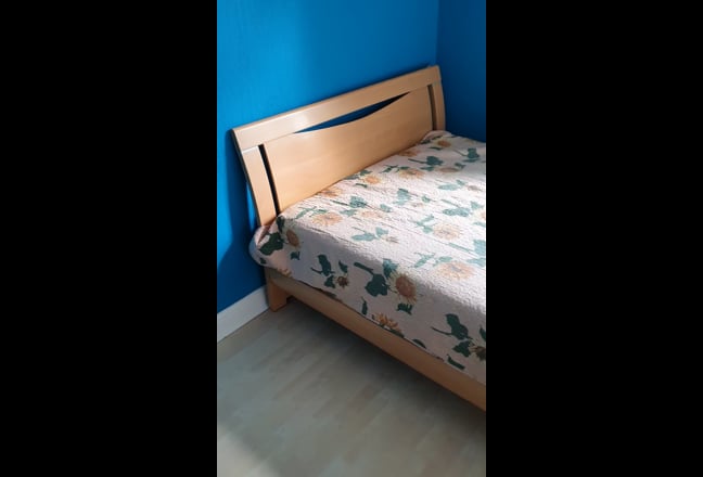 Video 1: