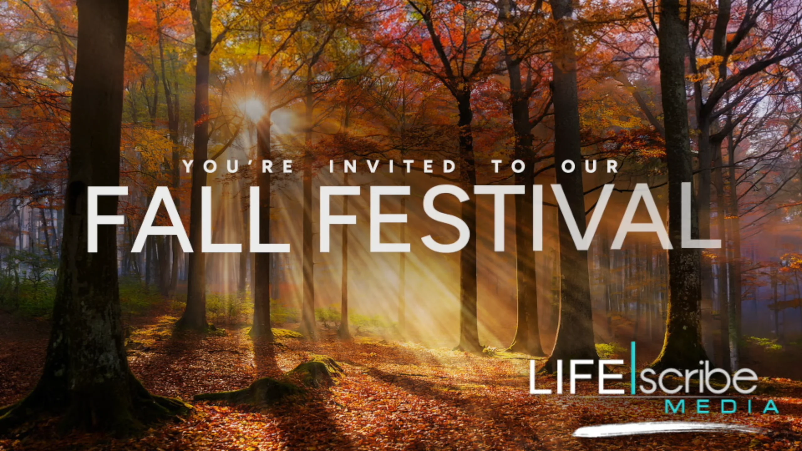 Autumn Light Collection – Life Scribe Media