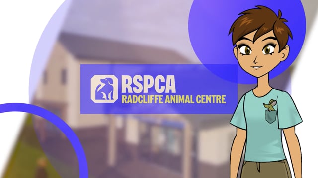 Animal Welfare Education