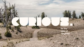 Curious: For the Sake of Neighbor (Part 2)