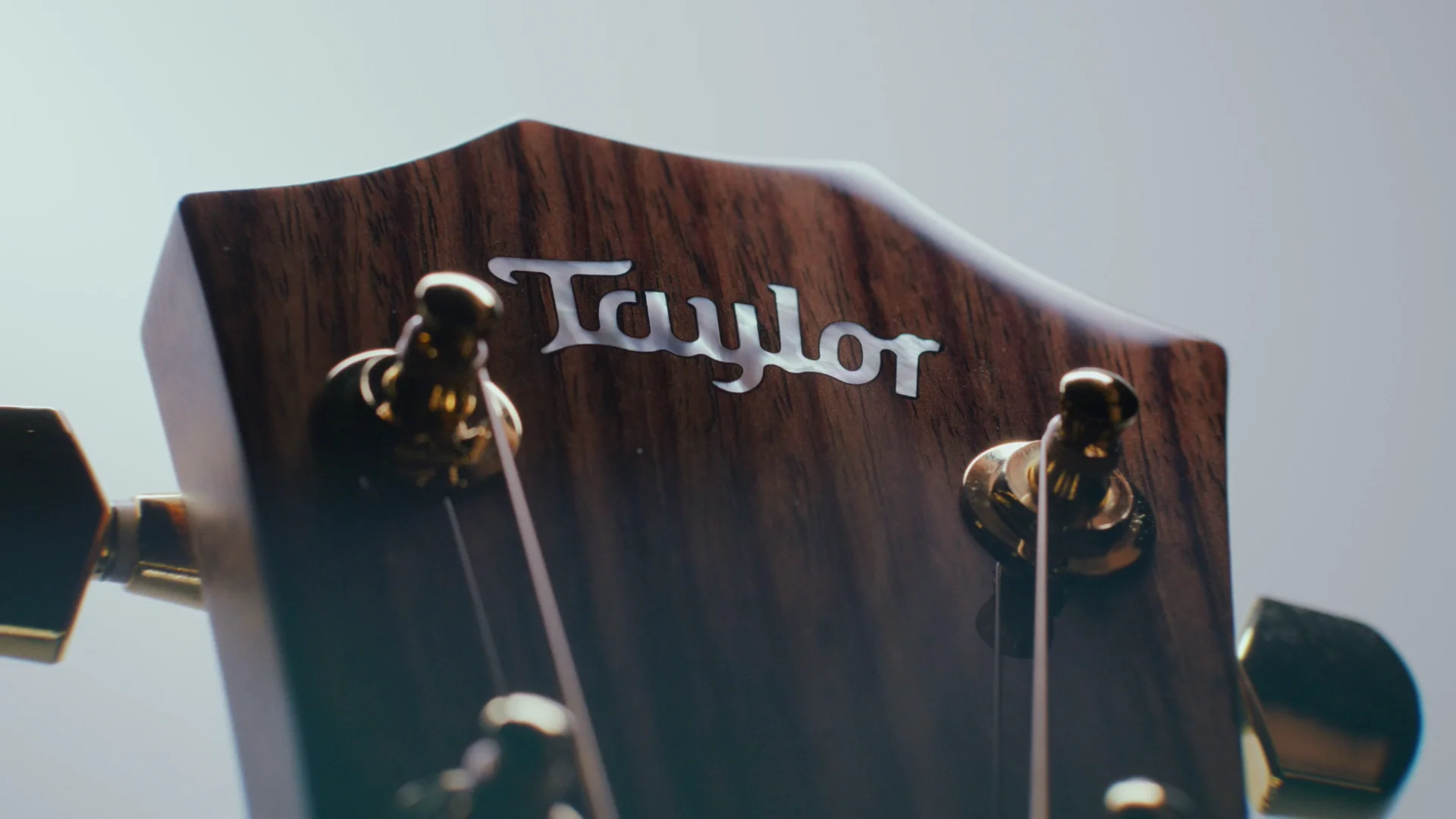 レガシーコレクション | Taylor Guitars